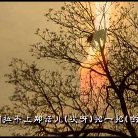 [中国艺术大全 HQ] 中国民歌 / Chinese Folk Songs 1/2