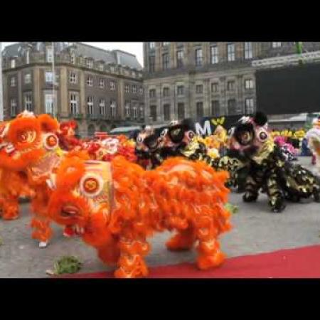 RNW nieuws Dans van de Leeuw, 100 leeuwen op de Dam